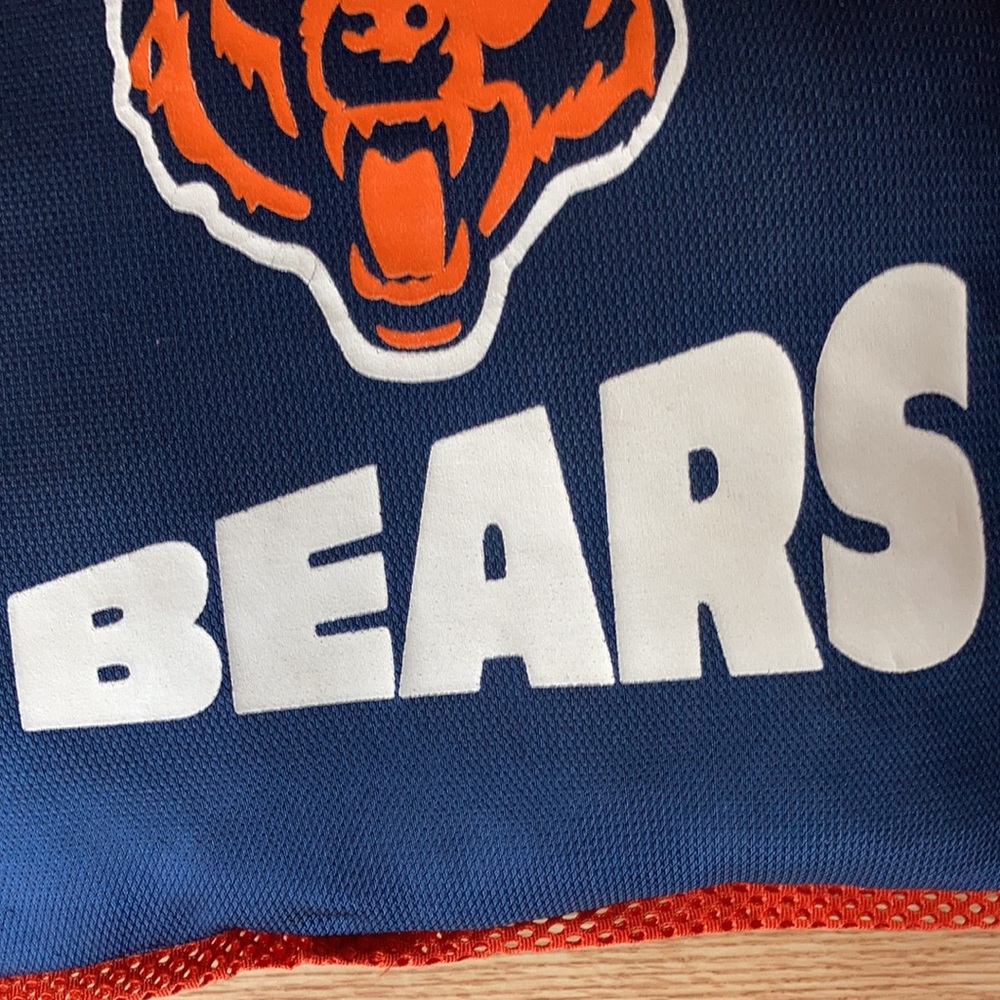Chicago Bears Pillow and Scarf - Picture 5 of 10